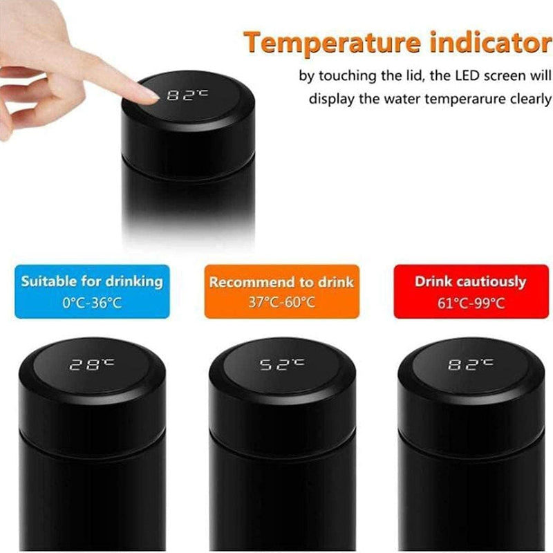 LED Temperature Display Water Bottle