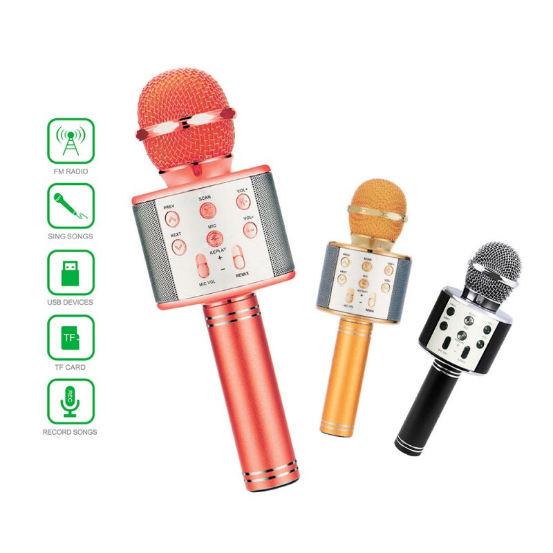 Microphone for Singing